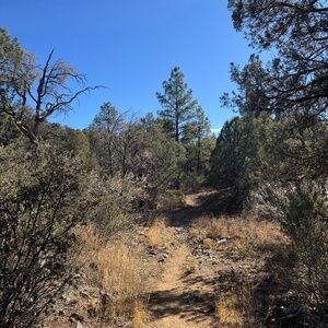 Meet your Posher, Keri